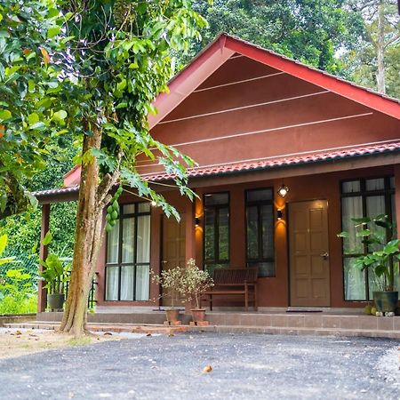 Cinta Abadi Resort Bidur Exterior foto